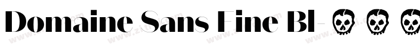Domaine Sans Fine Bl字体转换
